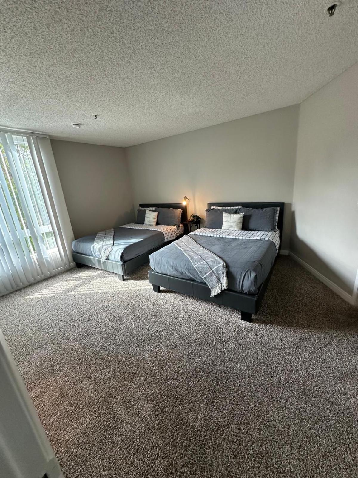 Incredible Two Bedroom Hollywood Apartments Free Parking Los Angeles Exterior photo
